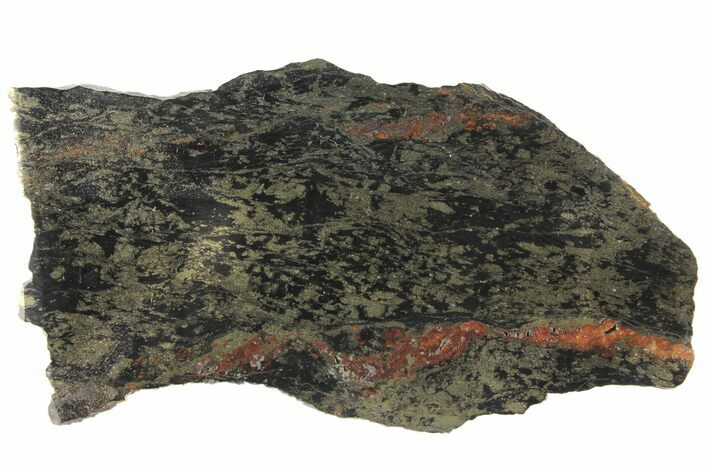 Polished, Apache Gold (Chalcopyrite) Slab - Arizona #93815